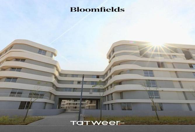 7946808 - الصورة الرئيسية للعقار