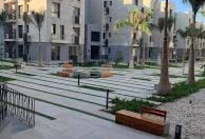 7947804 - صورة العقار 3