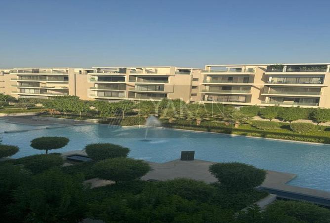 7948696 - صورة العقار 2