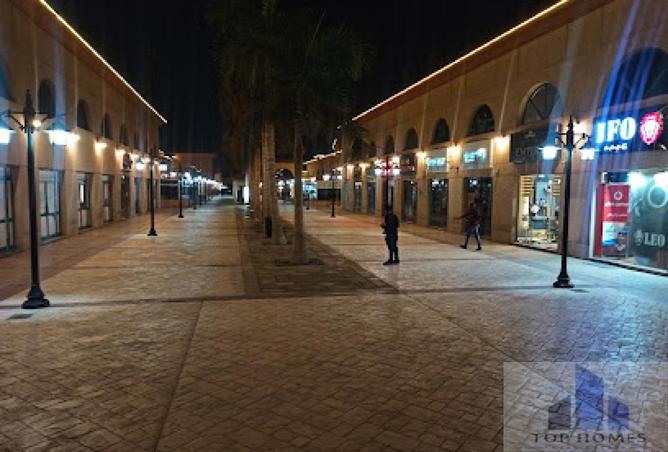 8470799 - Property Image 2