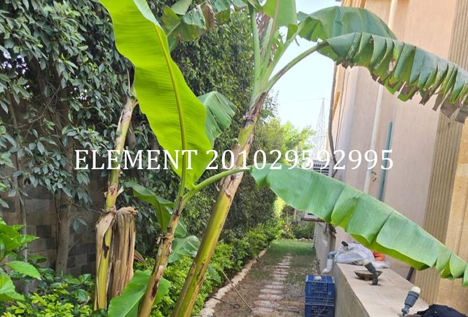 7949503 - صورة العقار 3