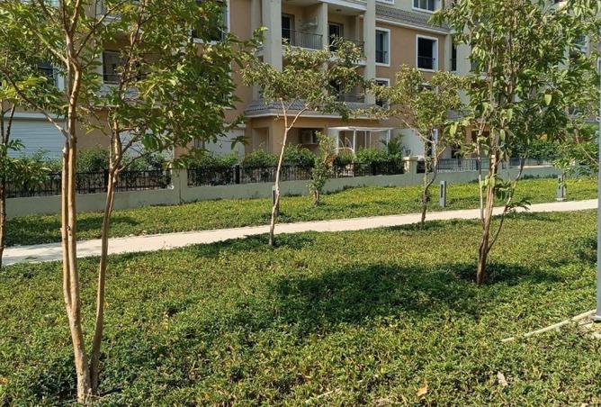 7950517 - صورة العقار 3