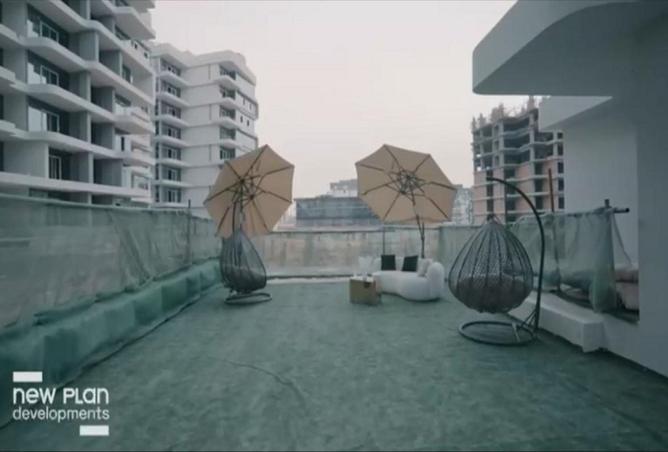 7951204 - صورة العقار 3