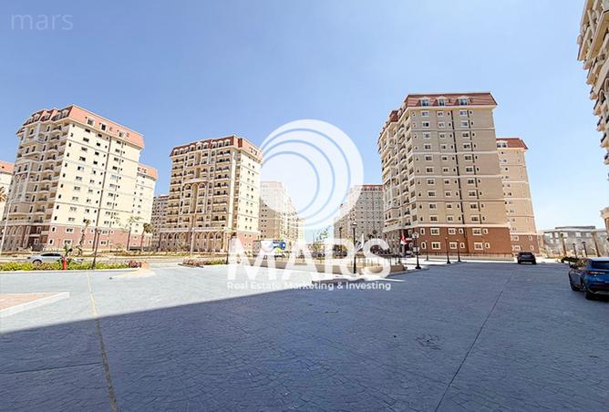 7951544 - صورة العقار 3