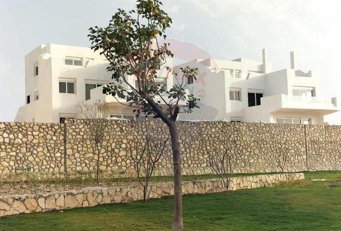 7952346 - صورة العقار 2