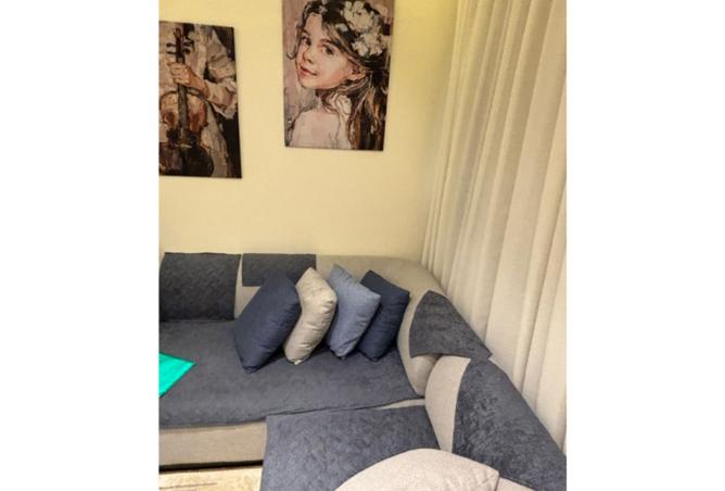 80531501 - Property Image 3