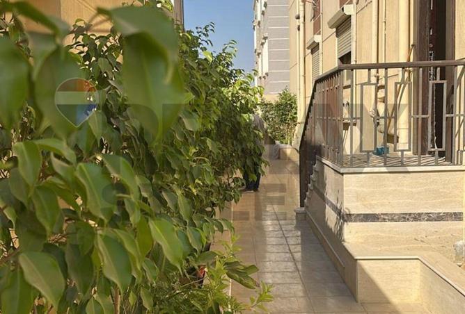 7972932 - صورة العقار 3