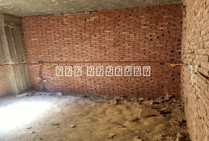 7955142 - صورة العقار 2