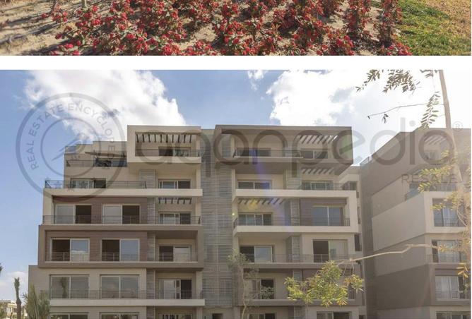 8335495 - Property Main Image