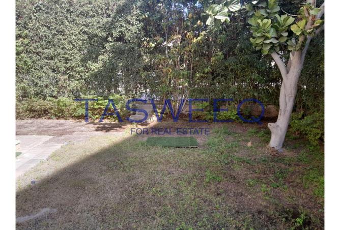 7955121 - صورة العقار 3