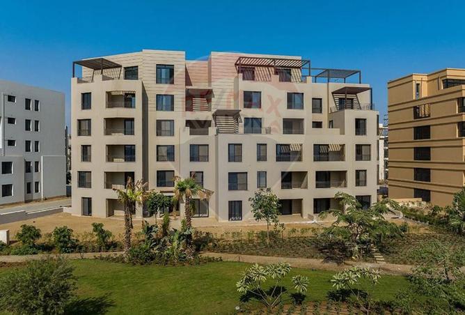 7955133 - صورة العقار 3