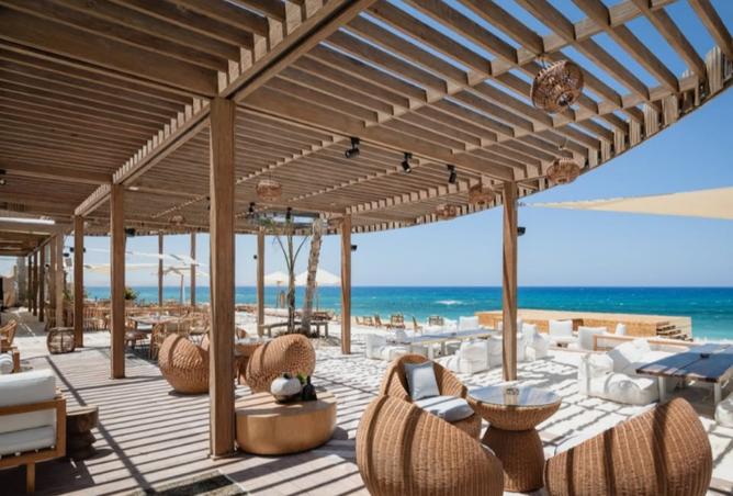 7988392 - صورة العقار 2