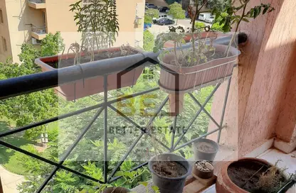 شقة - 3 غرف نوم - 3 حمامات للايجار في الرحاب المرحلة الأولى - الرحاب - مدينة القاهرة الجديدة - القاهرة