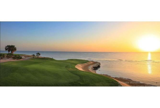 7960773 - Property Image 3