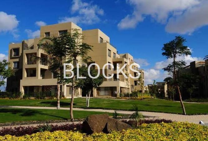 7962741 - Property Image 3