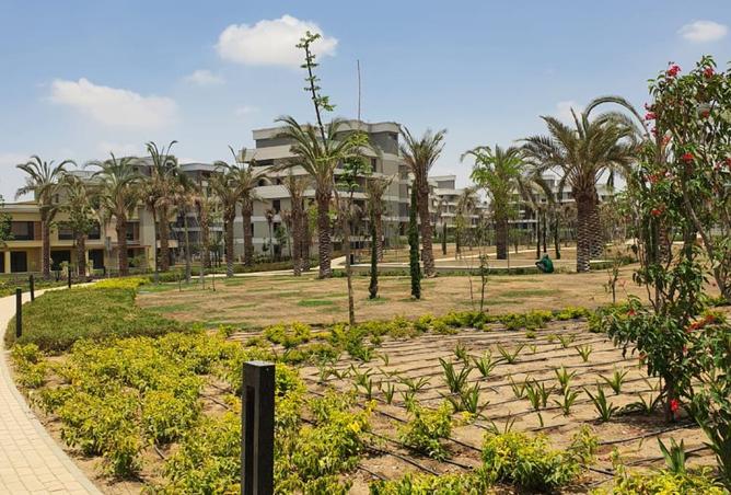 7960786 - صورة العقار 3