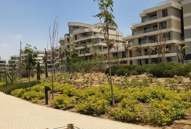 7960786 - صورة العقار 2