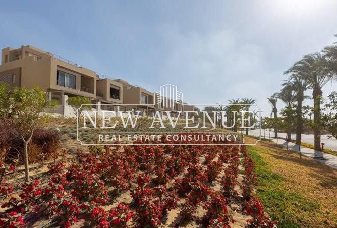 8317960 - Property Image 3