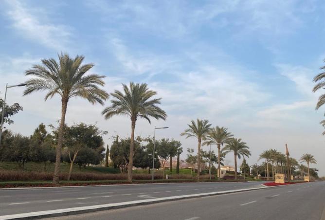 7962377 - صورة العقار 2