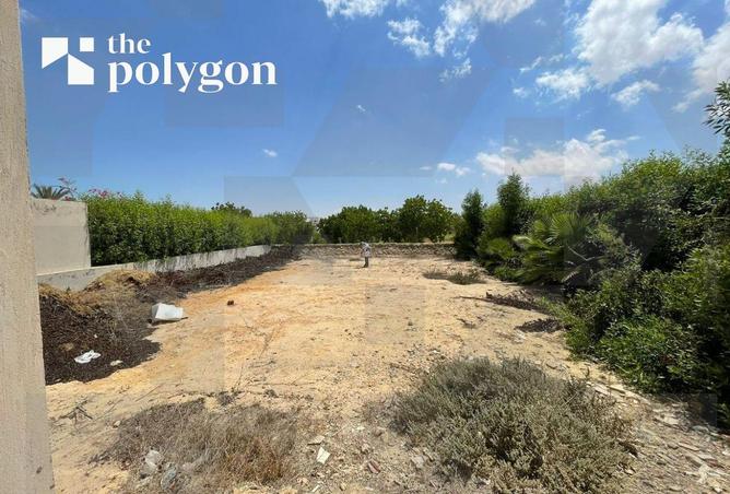 8127215 - الصورة الرئيسية للعقار