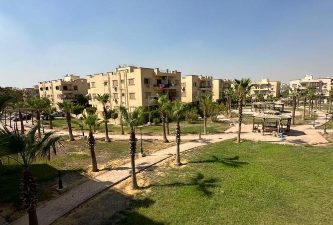 7963216 - صورة العقار 3