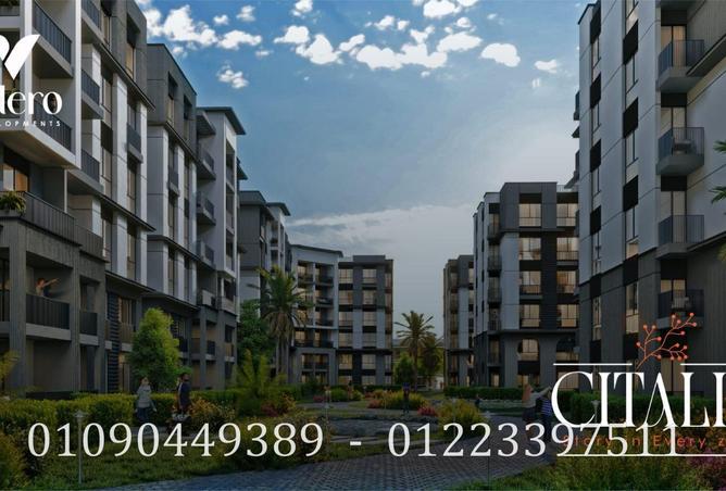 7965478 - Property Image 2