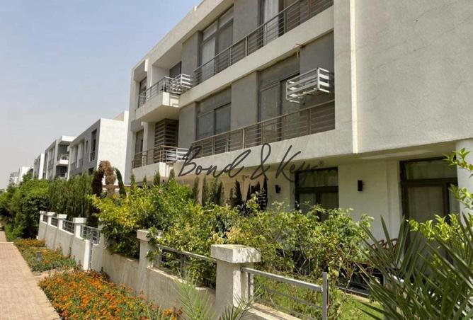 7965588 - صورة العقار 3