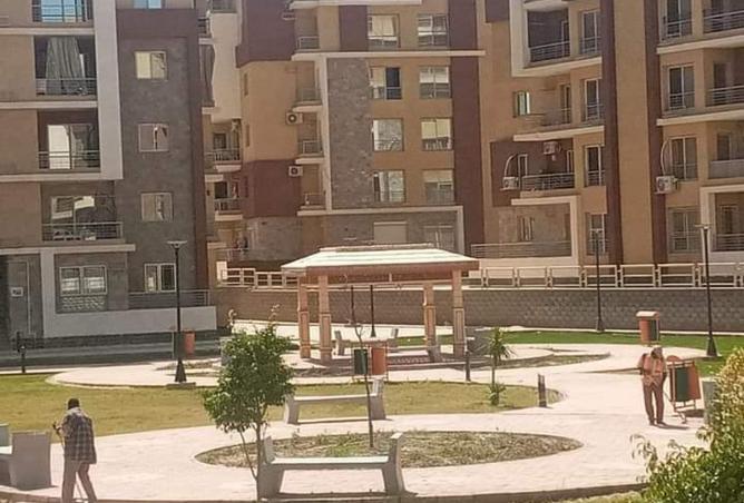 68798388 - Property Image 3