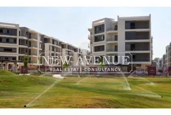 8324103 - Property Image 2