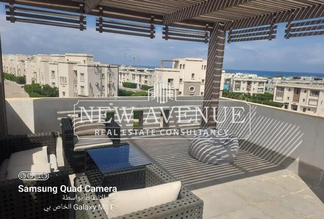 7966621 - صورة العقار 3