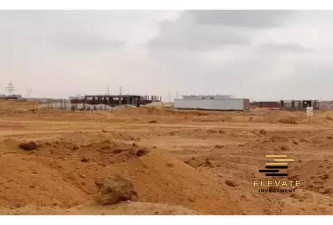 8121643 - Property Image 3