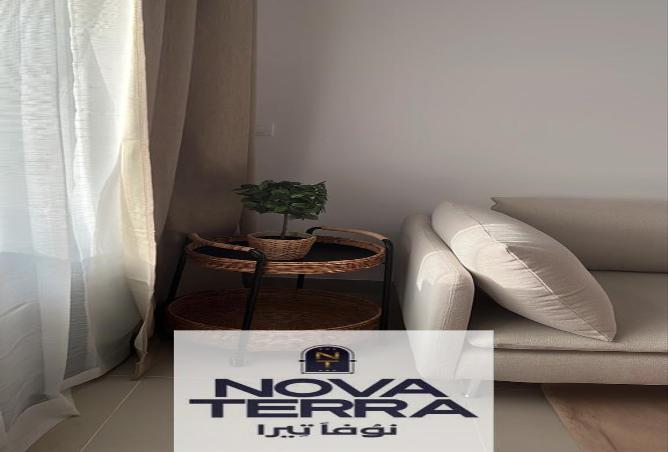 7974702 - صورة العقار 3