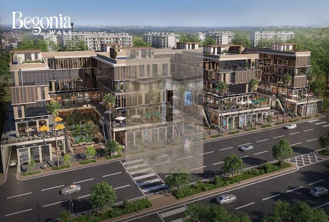 7967538 - الصورة الرئيسية للعقار