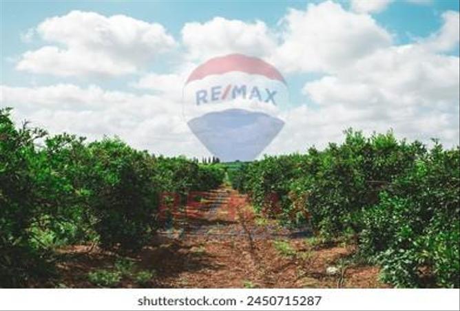 8008843 - صورة العقار 3