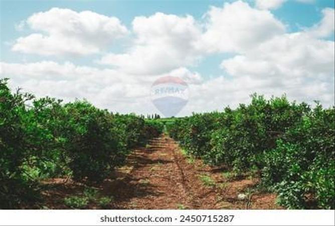 8008843 - صورة العقار 3