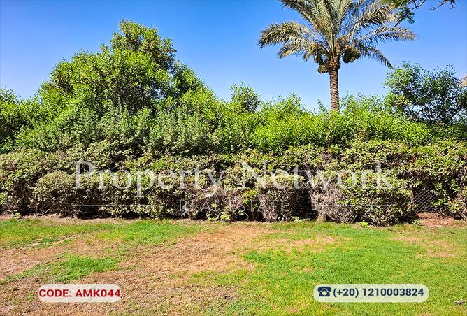 8308778 - صورة العقار 3