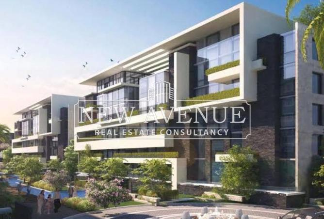 8393362 - Property Image 2