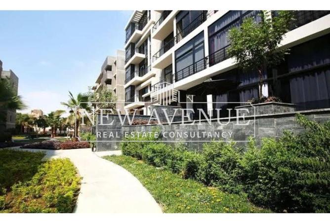 8393362 - Property Image 3