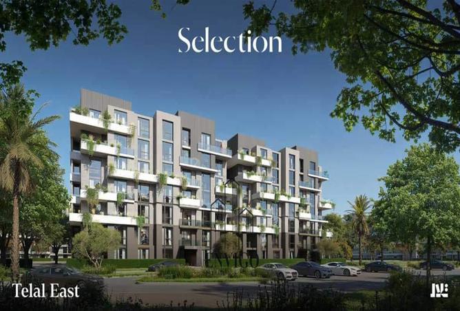 7985584 - صورة العقار 3