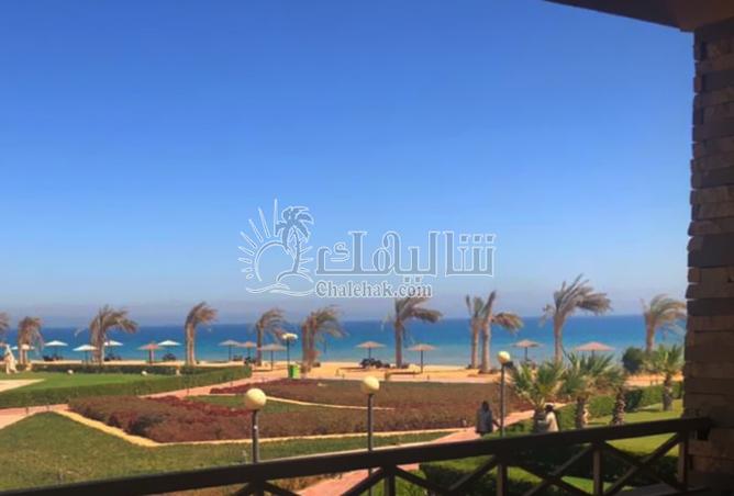 7972288 - Property Main Image