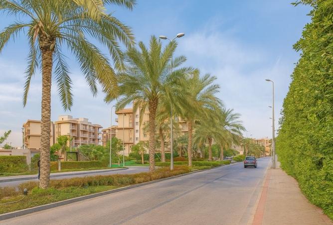 7973856 - صورة العقار 2