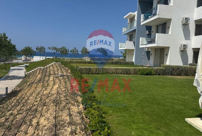 7973899 - صورة العقار 3