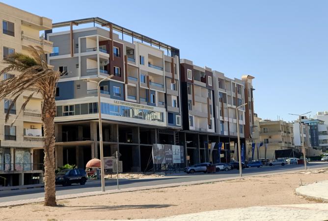 7974515 - Property Image 3