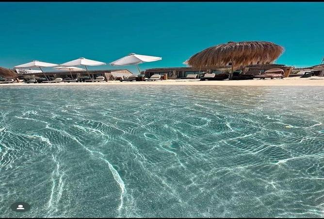 7974381 - صورة العقار 2