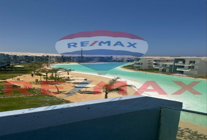 7974471 - صورة العقار 2