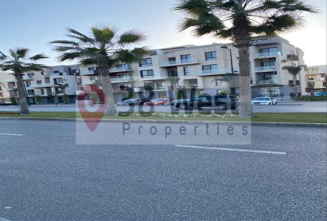 7974701 - صورة العقار 3