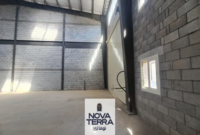 7975344 - Property Image 3