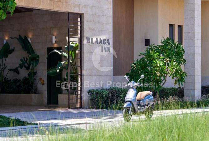 65918347 - Property Main Image