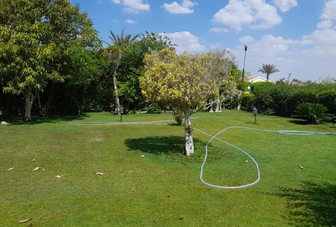 7975343 - صورة العقار 3