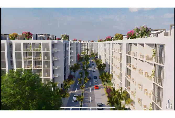 7976535 - Property Image 2